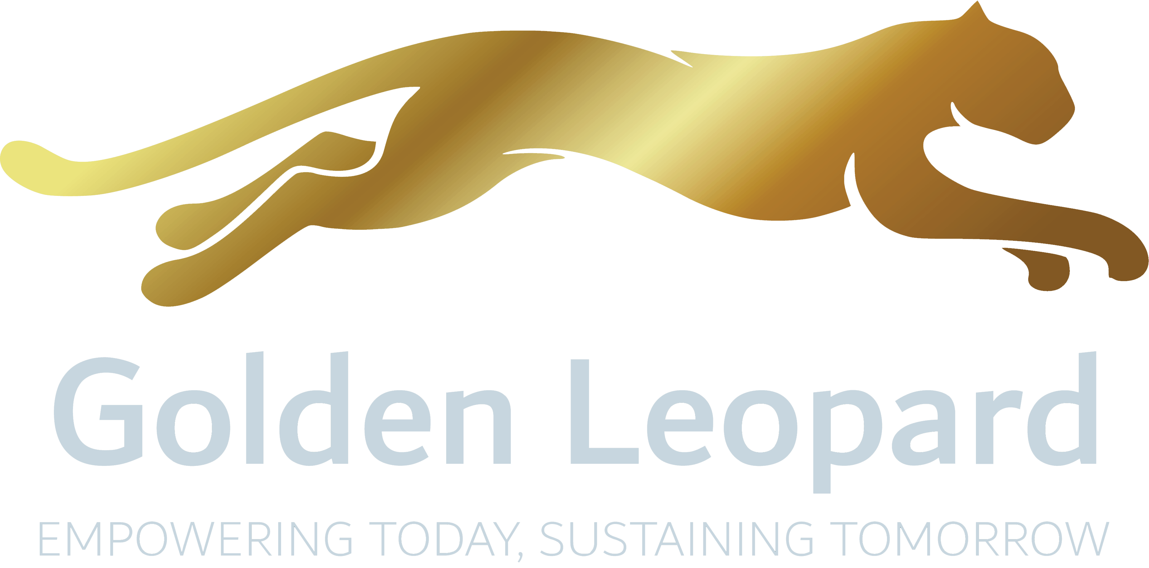 LEOPARD-2